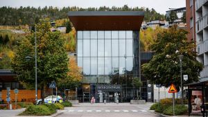 Hur kan detta vara politikernas jobb?