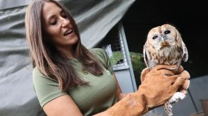 Fauna selvatica, nuove strutture di Veneto Agricoltura a Chioggia e nel Delta