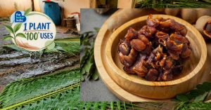 A Seed That's Over 70% Kernel Has Helped Size Indian Cotton Since 1943: Meet the Tamarind