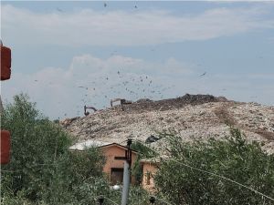Kashmir’s Waste Crisis: Compost at Home, Not in Achan