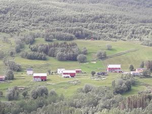 Bodø kommune raserer bygdene med sin skolepolitikk!