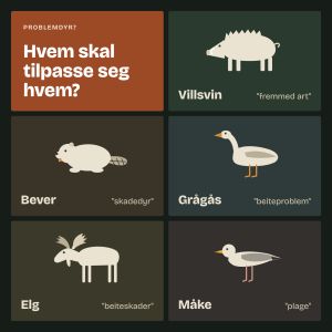Hvem skal tilpasse seg hvem?