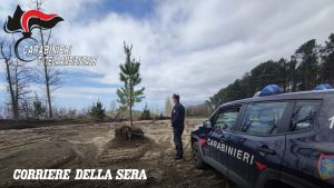 Per realizzare un poligono di tiro sradicati alberi di un progetto con fondi del Pnrr
