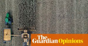 A super El Niño threatens our food system. Here’s how farms can prepare