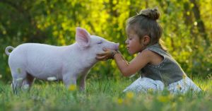 Is Eating Animals a Psychological Blind Spot?