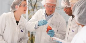 Beursblik: Jefferies rekent op winstherstel voor Azelis en IMCD