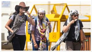 Maharashtra weather today: Heatwave continues, IMD issues yellow alert for 5 districts