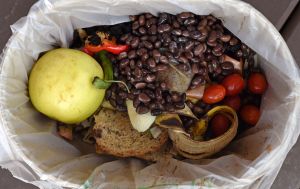 Canada should borrow the EU’s playbook to cut food waste