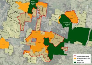 The fight to save Pine Creek State Forest from NSW Forestry Corp