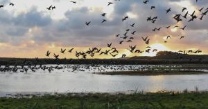 Walking route in Norfolk named among the best in the country for autumn stroll