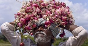 Onion Inflation Rose From 22.5% in July to 48.3% in August. Here's Why