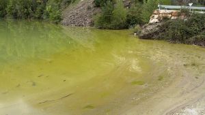 El agua del pantano de la Torrassa se tiñe de verde fluorescente por unas algas potencialmente tóxicas