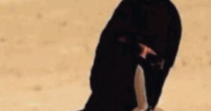 Videogiochi, social e chat: la jihad a portata di 14enne
