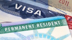 US green card curbs, AI disruption: Why Indian IT giants must rethink their business model