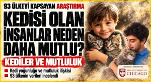 Kedisi Olan İnsanlar Neden Daha Mutlu?