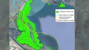 La nuova prateria sul fondale marino si è estesa fino alle foci dell’Isonzo