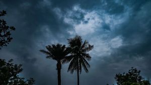 Tamil Nadu weather alert: Heavy rain likely in Kanyakumari, Tirunelveli and Thanjavur; thunderstorms in Puducherry