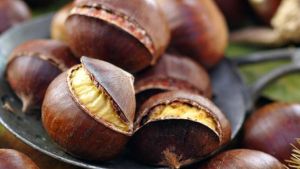Ottobrata sulla Toscana. E arriva il tempo delle castagne: in tanti nei boschi per la raccolta