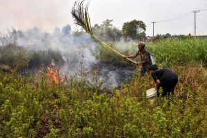 Singapore can fix Southeast Asia’s haze, if it wants to