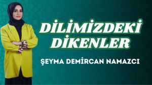 DİLİMİZDEKİ DİKENLER