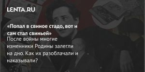 «Попал в свиное стадо, вот и сам стал свиньей»