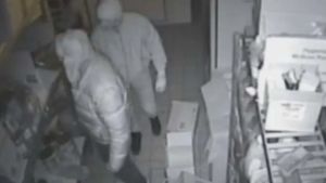 Furti sui Colli Euganei, tre incappucciati nei giardini delle case: messi in fuga dai vicini