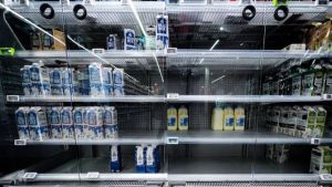 Experts: cyberincident kost Albert Heijn zeker 10 miljoen euro