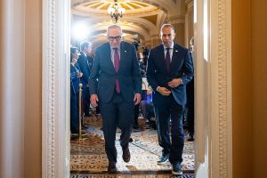 Democrats Need an Agenda, Not Theatrics