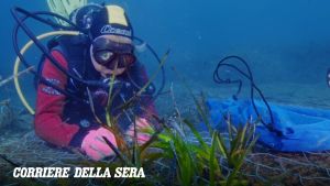 Baia di Ieranto, un progetto per piantumare la posidonia scomparsa negli anni