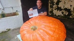 El maliayés Heber Arenas logra el primer premio del concurso de calabazas de León con un ejemplar que pesa tanto como un caballo: 