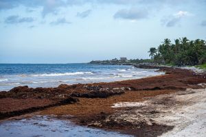 Tulum's Ugly Downfall Is a Warning for Mexico