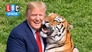 Is Trump addicted to AI slop? The President's bizarre tiger video is just the latest example of his baffling obsession, writes James Hanson