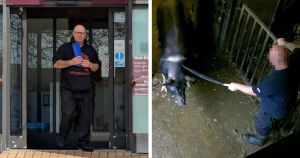 Farm worker banned from working with animals after striking pigs with pitchfork