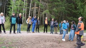 Im Löffinger Wald: Die Förster trotzen dem Klimawandel