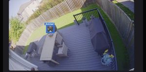 My own security system flagged me, a Black woman, as an animal