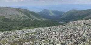In the northern Appalachian Mountains, warmer weather is making alpine regions greener