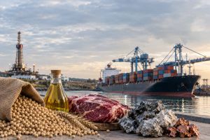 Beyond China: Argentina can deepen trade with five strategic Asian markets