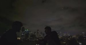 Se los comían los perros