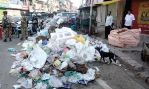 Waste to Wealth