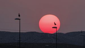 Un verano como ninguno
