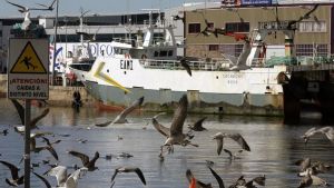 Adiviñas do mar galego, de feira a feira