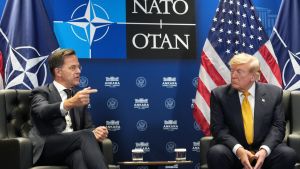 L’Ue la Nato evitano lo scontro con Trump e minimizzano sul tradimento all’Ucraina