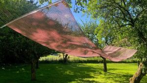 Schlangen im Paradies