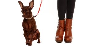 De reclame-industrie belooft ons Big Ideas, maar denkt ongelooflijk klein