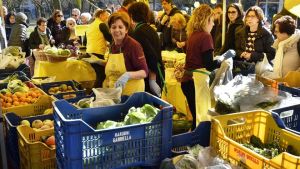 Mercatino agricolo fuori dall’ospedale di Treviso, tra prevenzione e caccia al risparmio