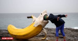 Darum ist die Banane krumm