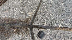 Brua vår fortjener bedre enn tyggegummiklyser og brukt posesnus