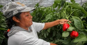 La realidad no tan oculta de la mujer rural