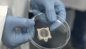 (VIDEO) Mini Hearts and Brains Head to Space Station in First-Ever Test That Could Unlock Secrets of Aging