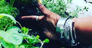 Weeds or Medicine? What Our Elders Knew About Mental Health